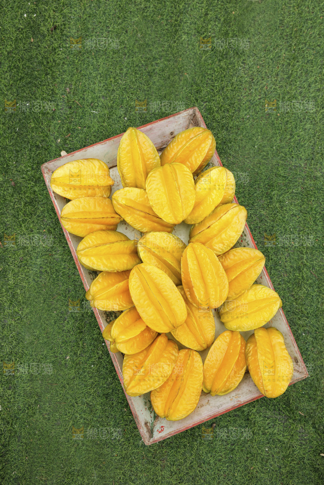 杨桃