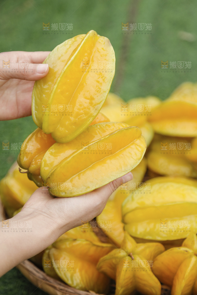 杨桃