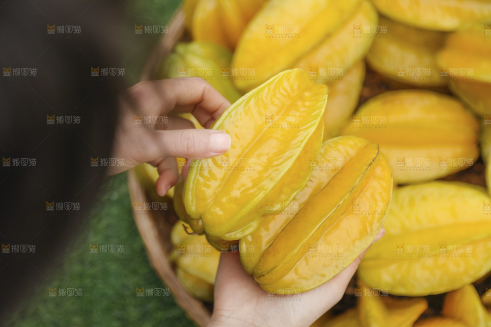杨桃