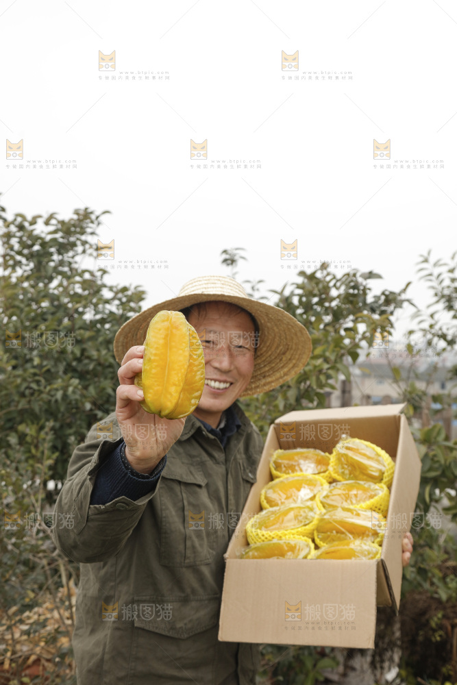 杨桃