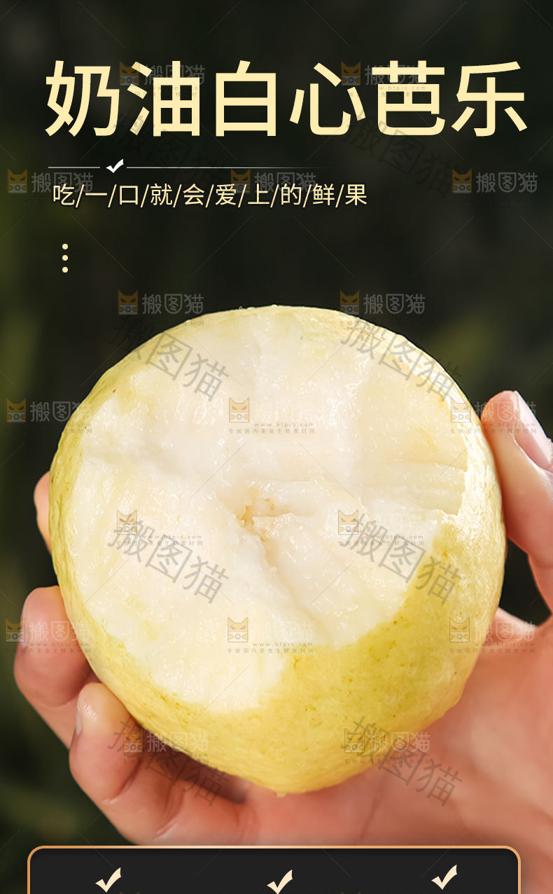 奶油白心芭乐详情