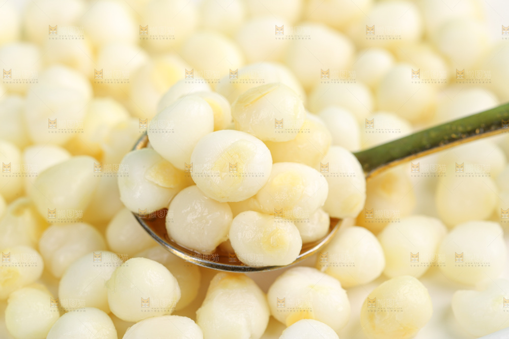 胚芽玉米