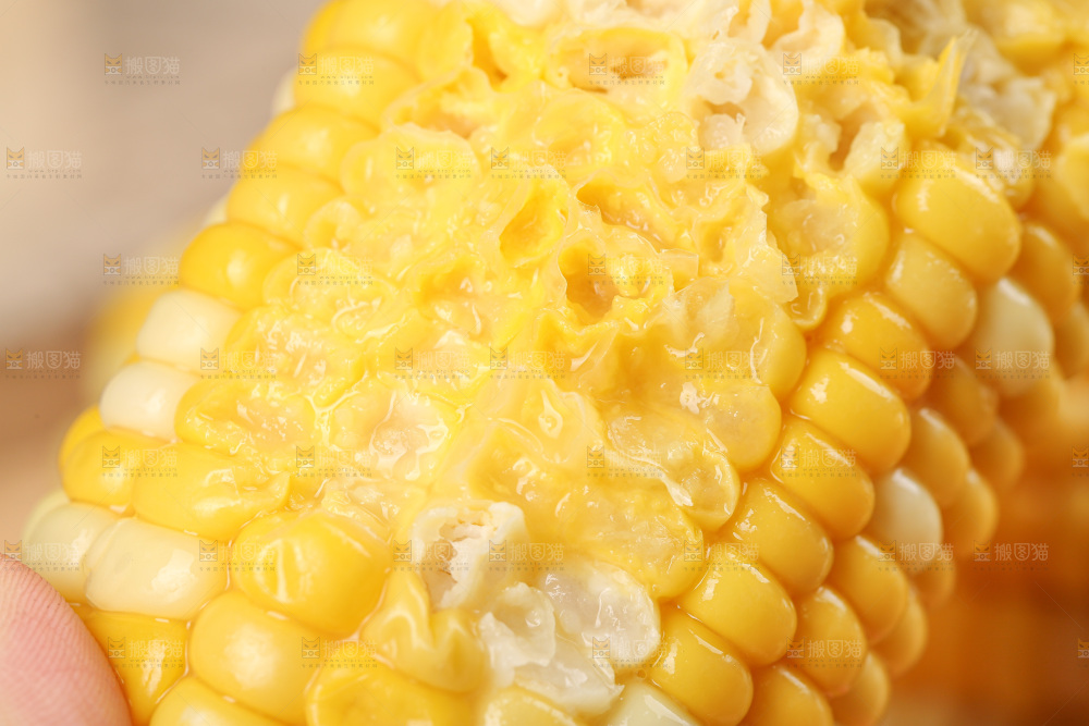 水果玉米