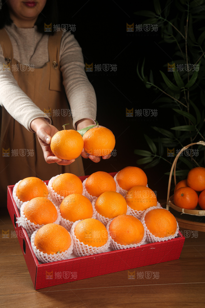 血橙