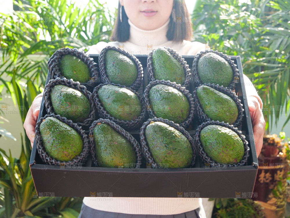牛油果