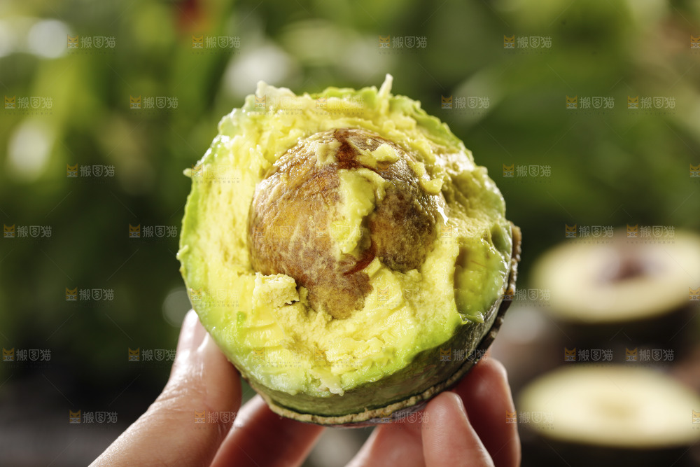 牛油果