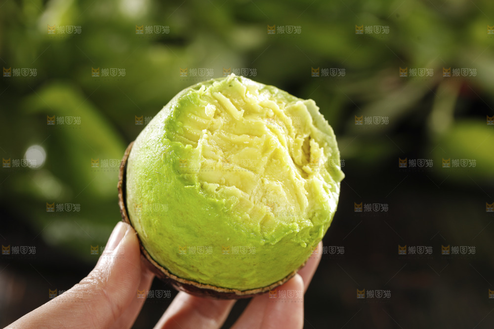 牛油果
