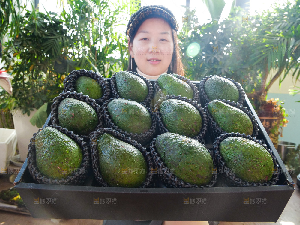 牛油果
