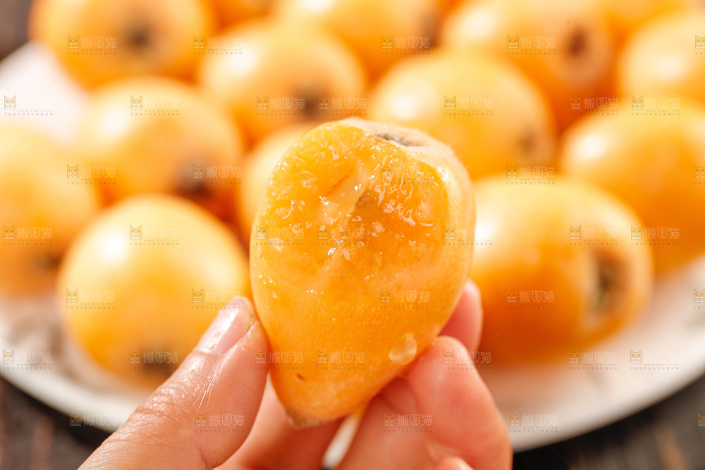 枇杷