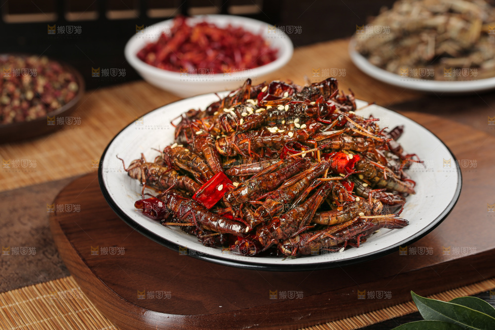 油炸蚂蚱