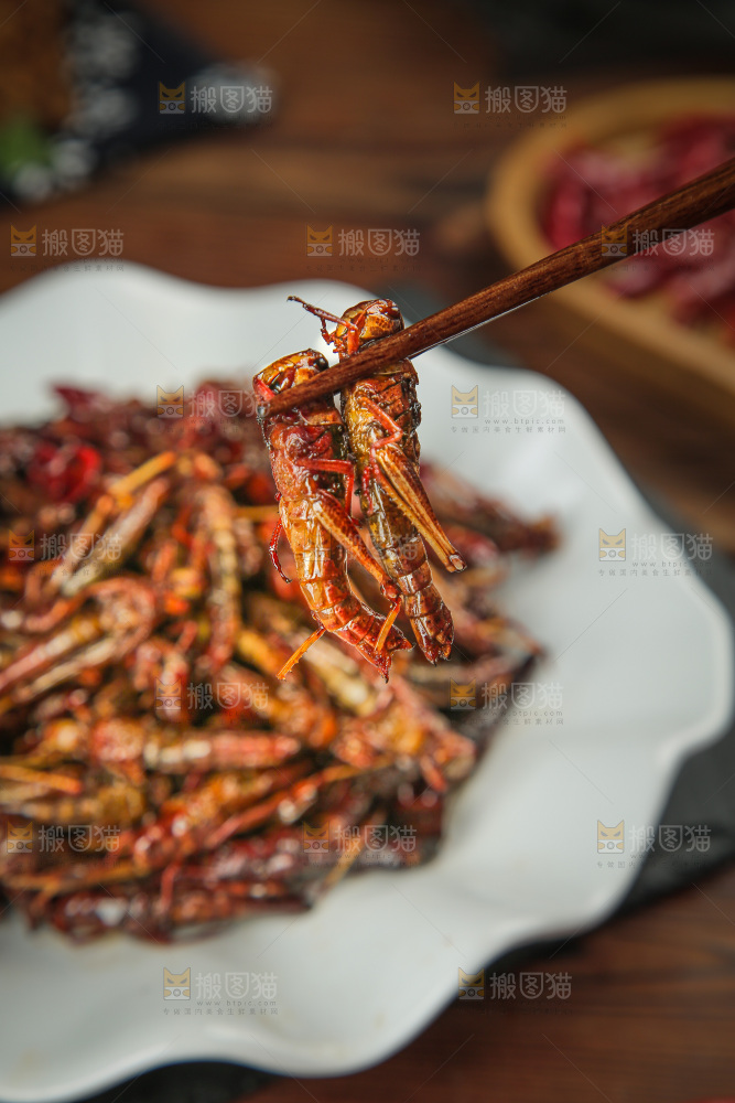 油炸蚂蚱