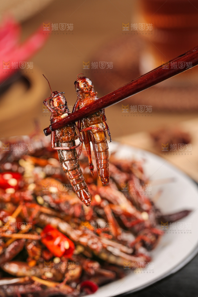 油炸蚂蚱