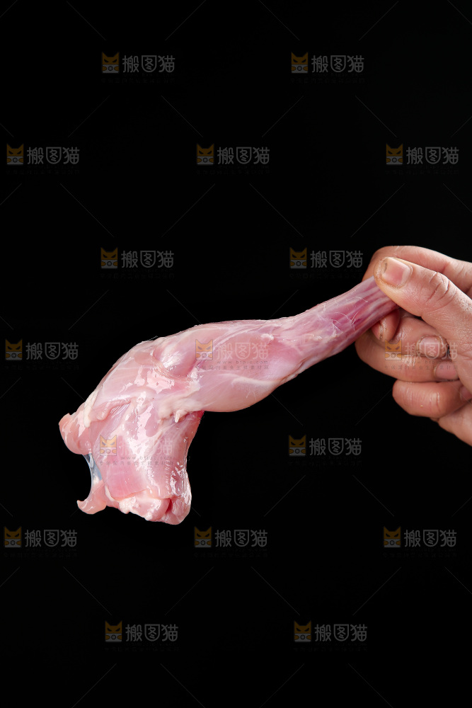 兔前腿