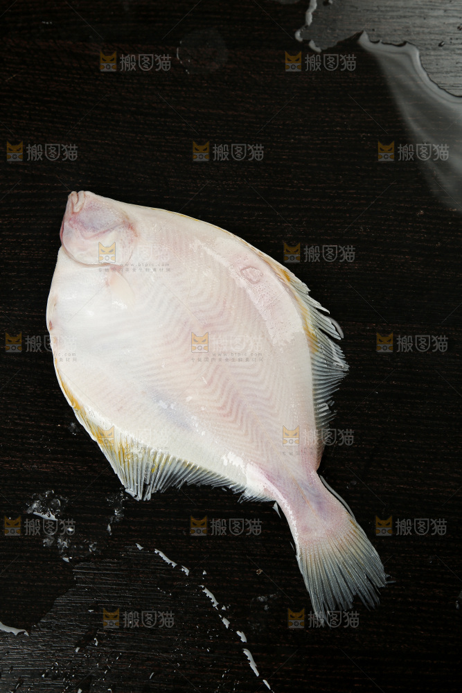鲽鱼