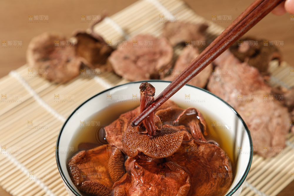 牛肝菌
