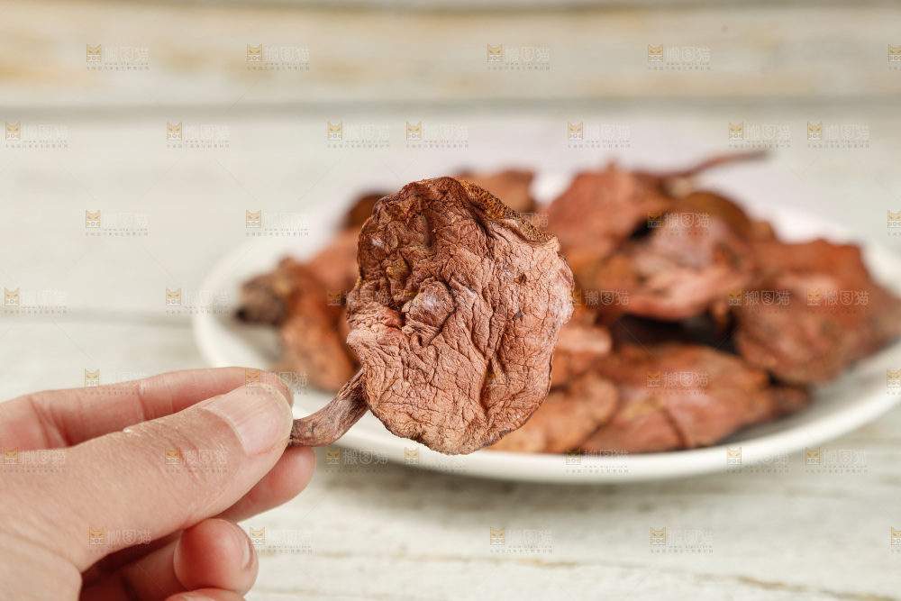 牛肝菌