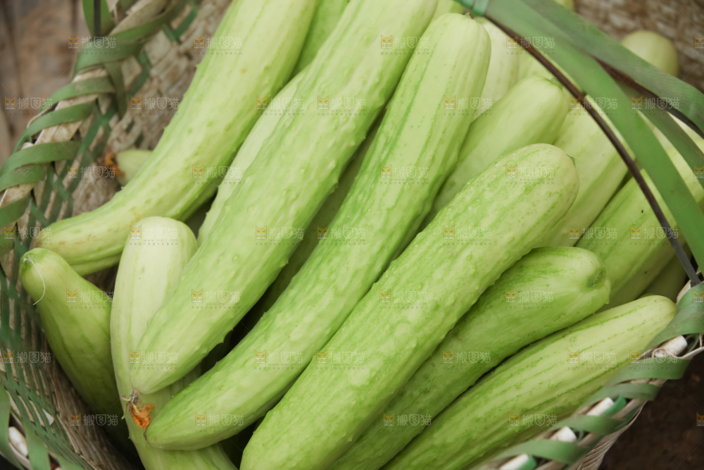 白玉黄瓜