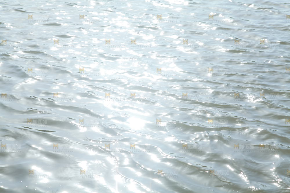 河道