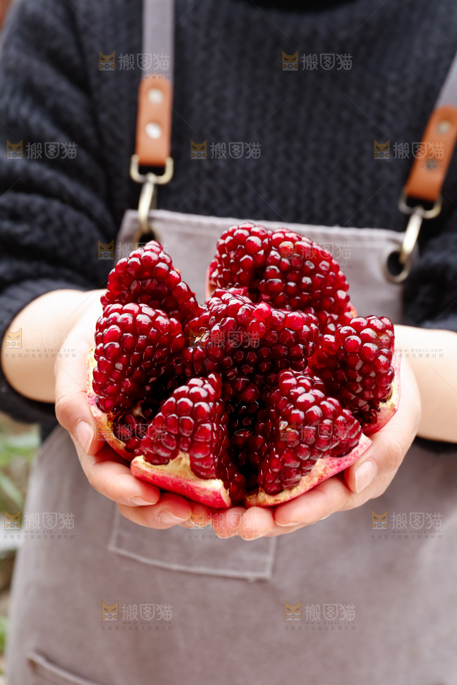 软籽石榴