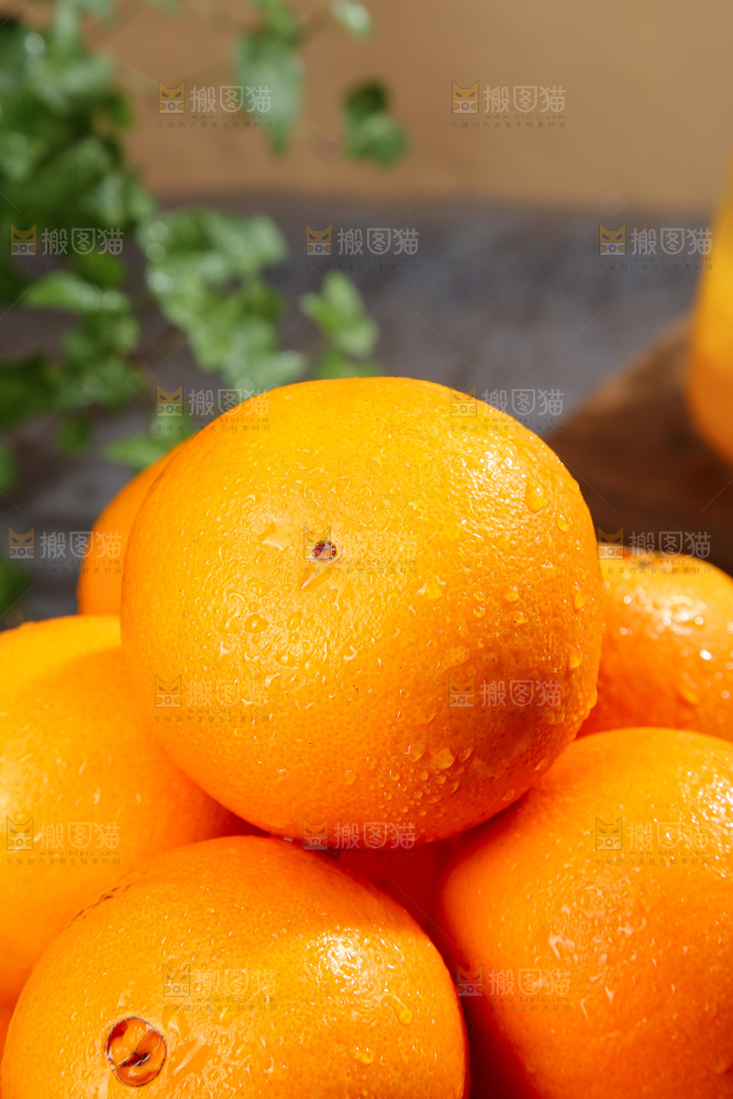 脐橙