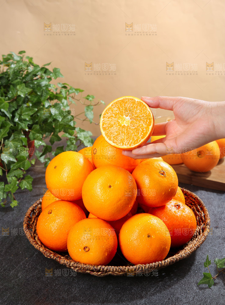 脐橙