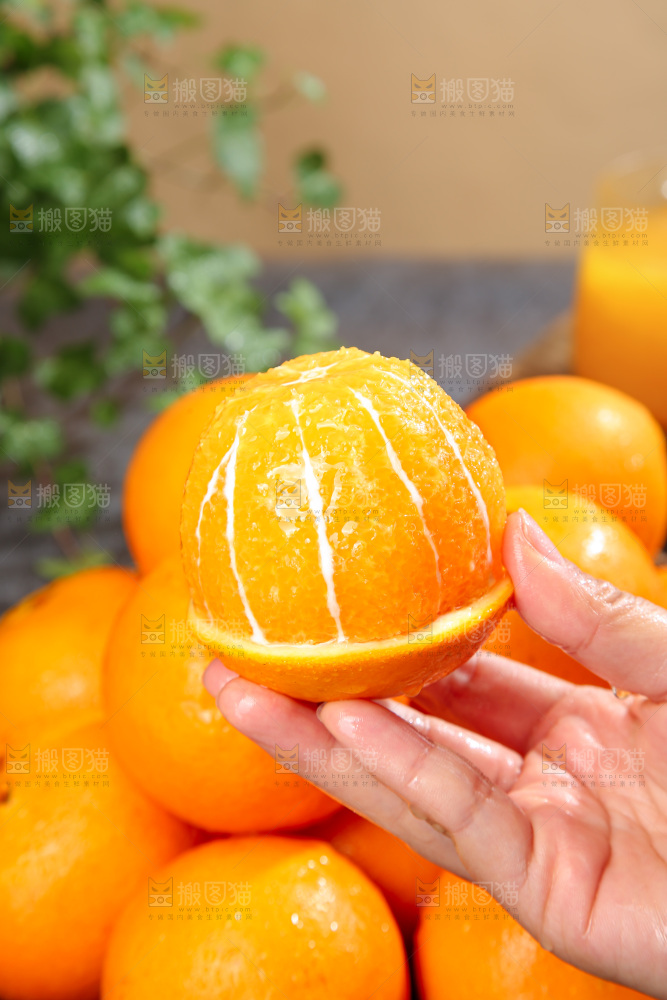 脐橙