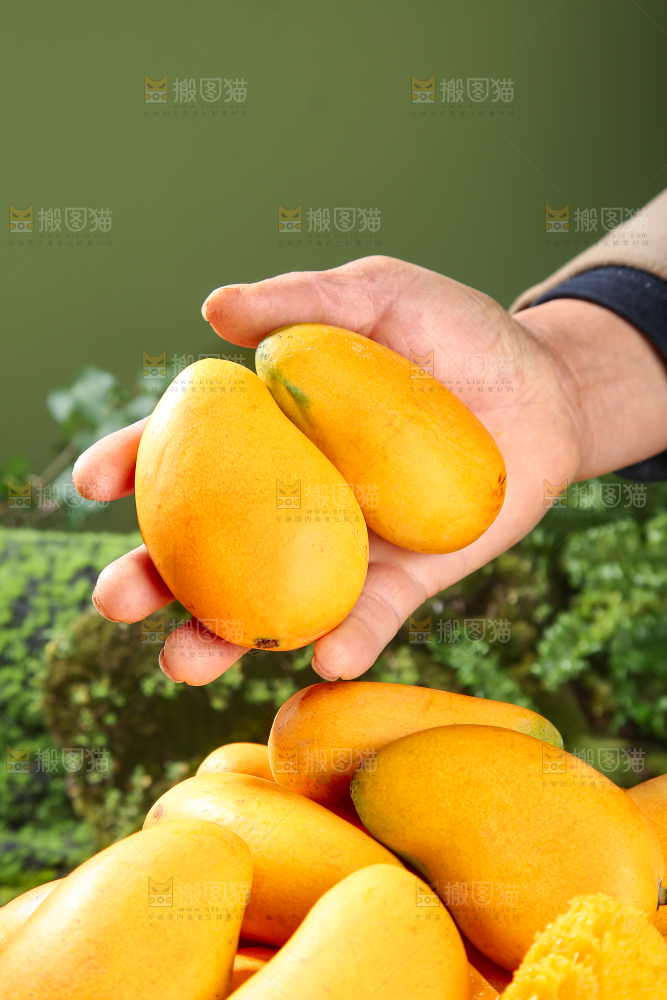 小台芒