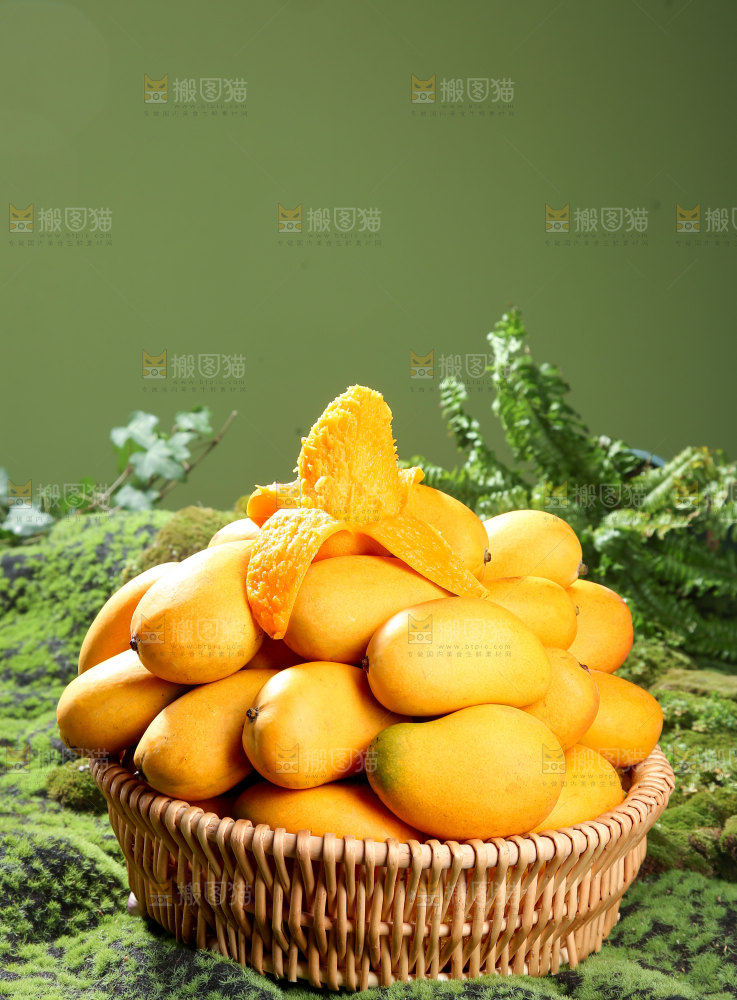 小台芒