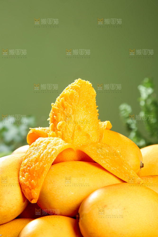 小台芒