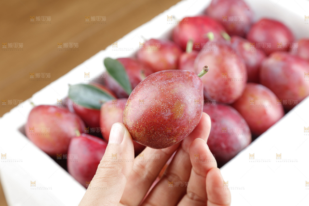 西梅