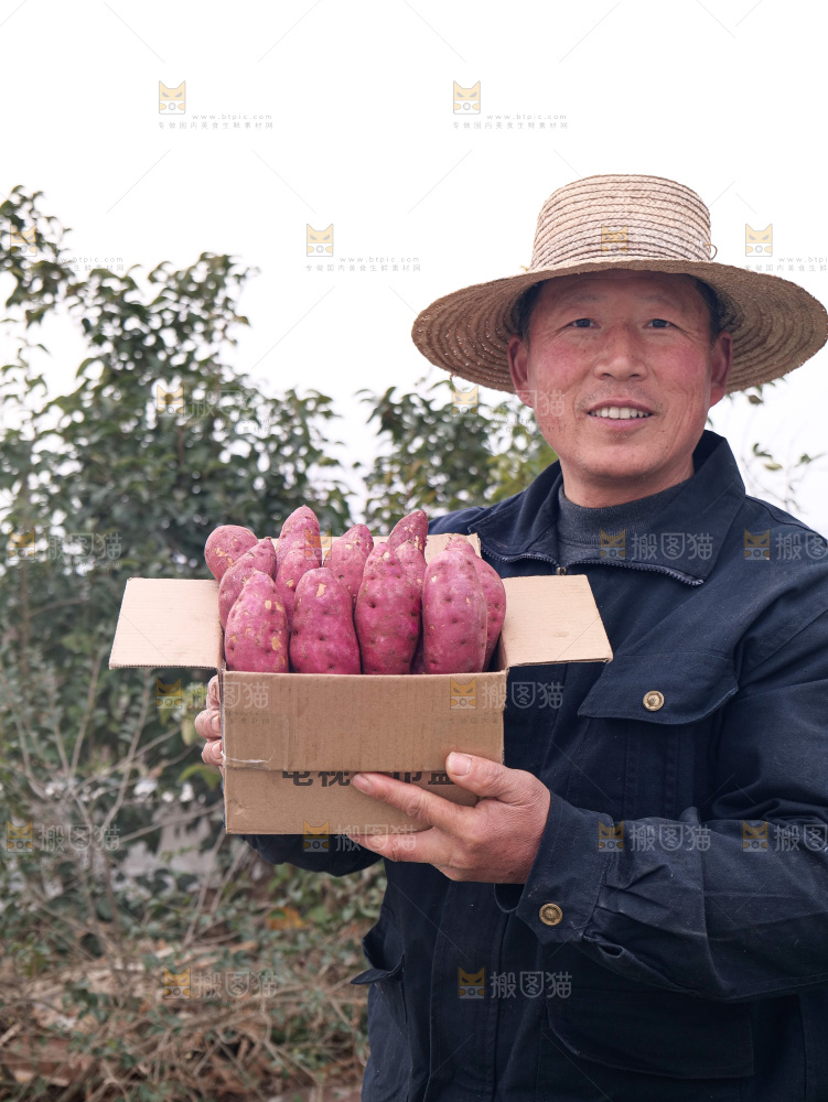 小香薯