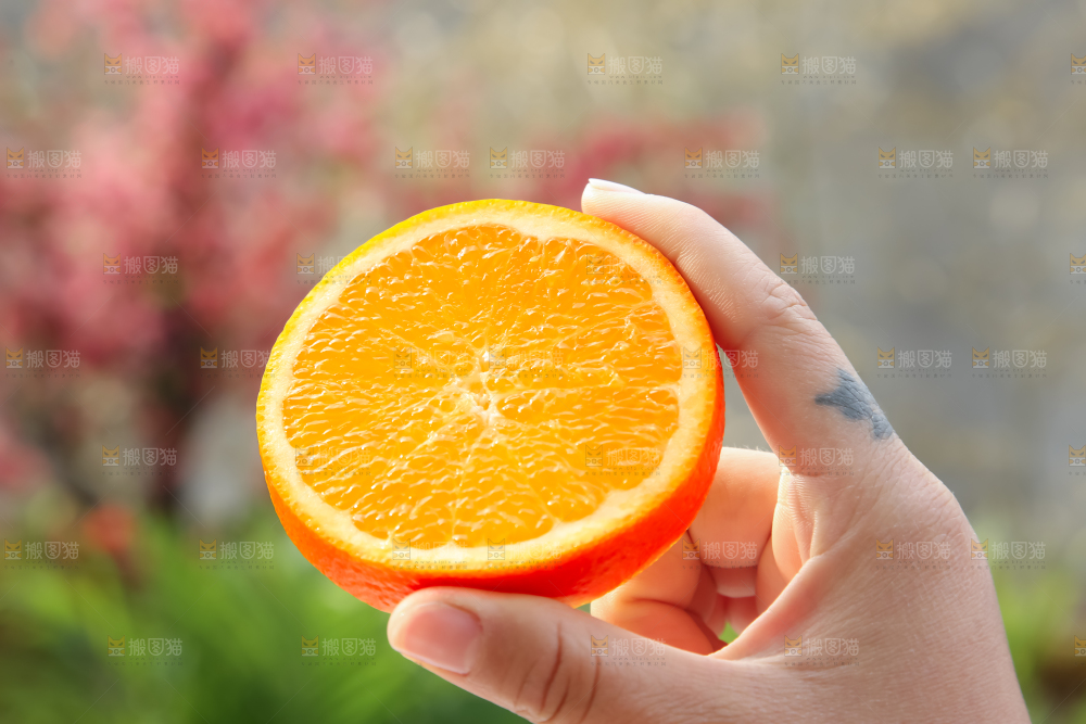 脐橙
