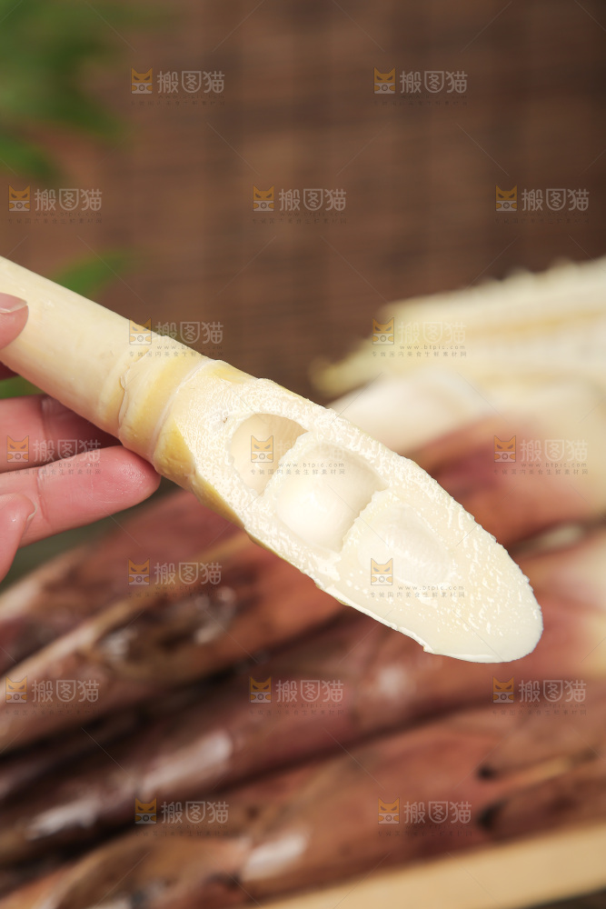 春笋