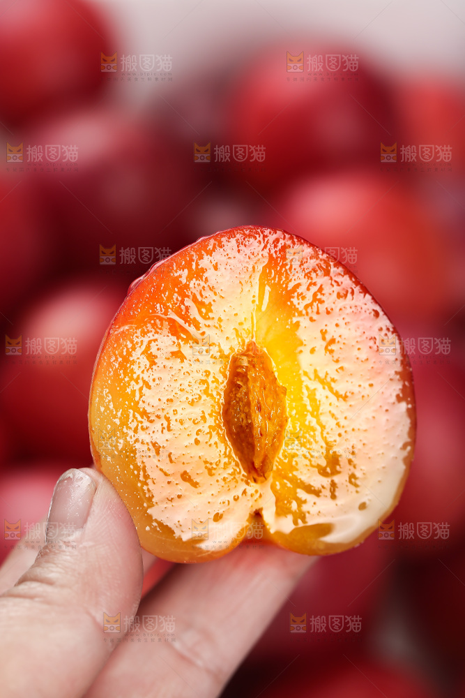 樱桃李