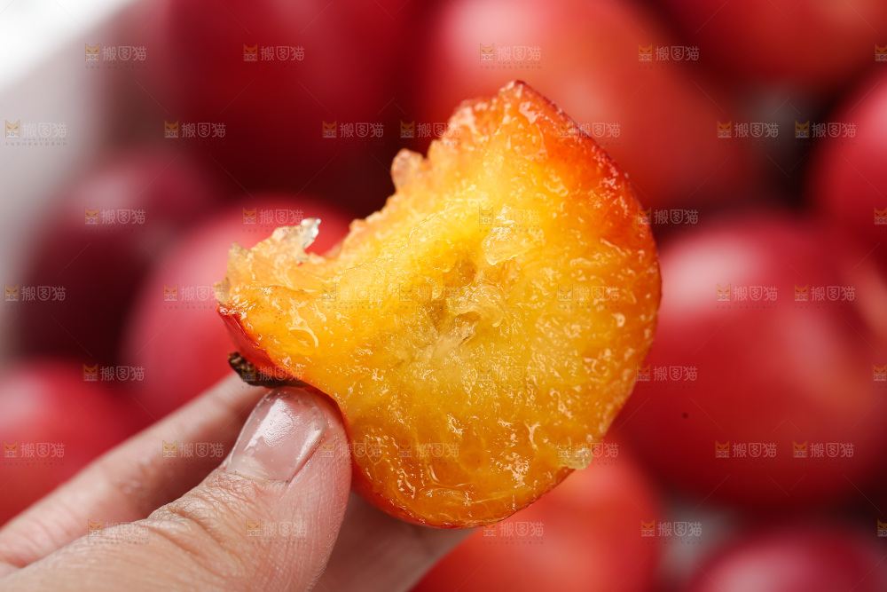 樱桃李