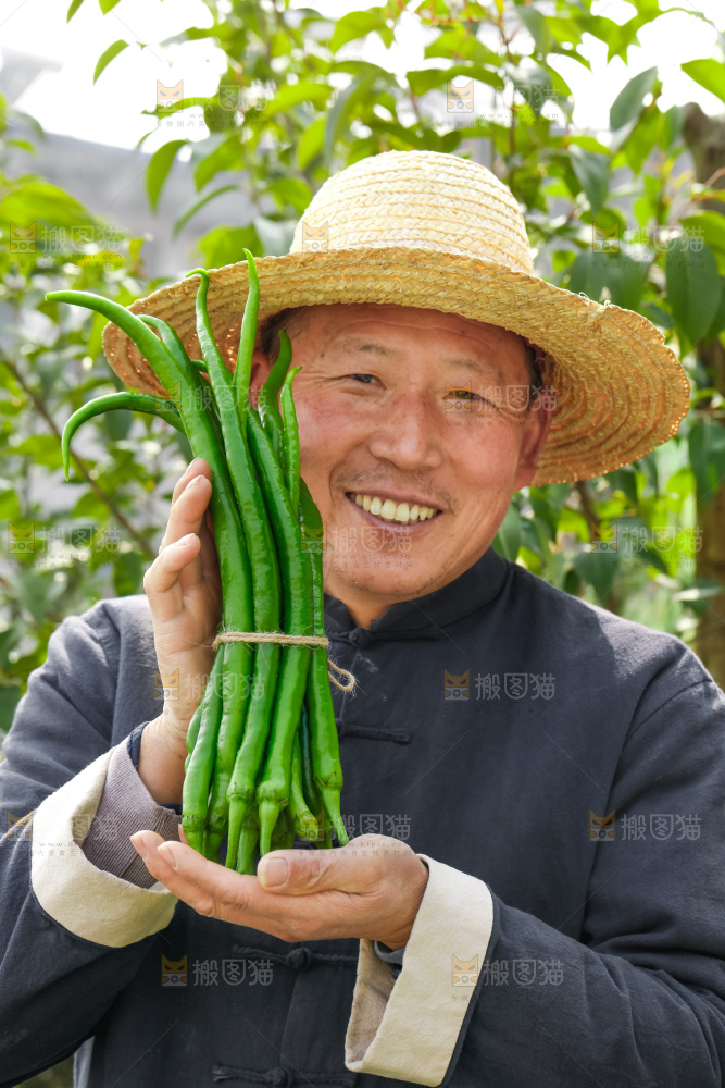 线椒