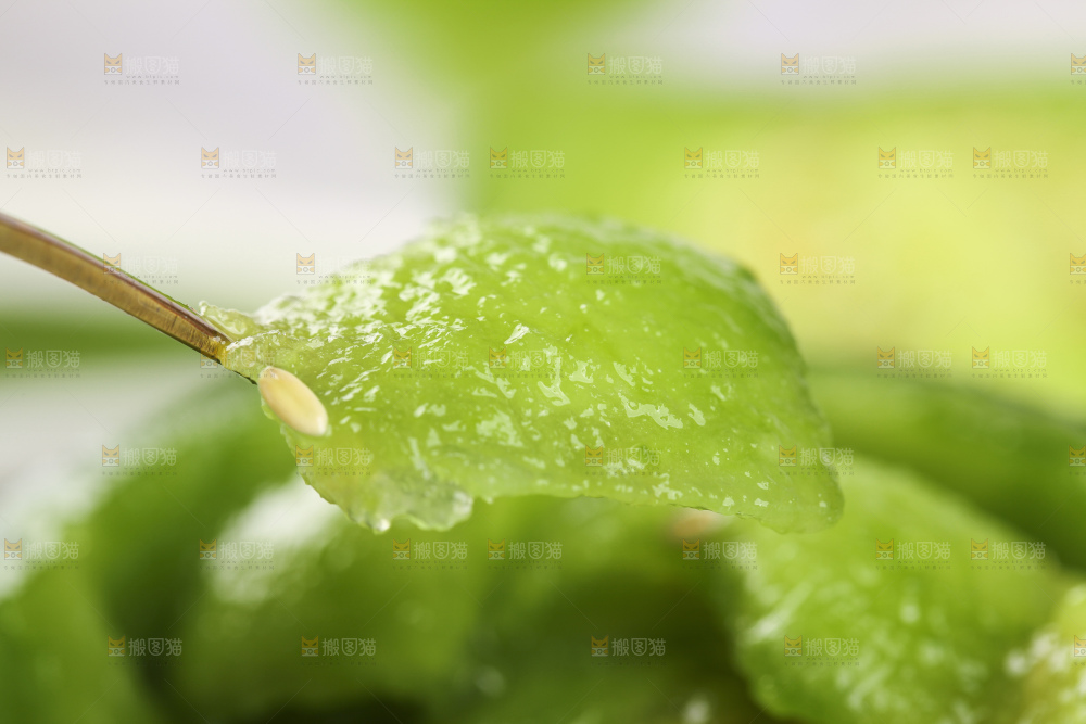 绿宝甜瓜