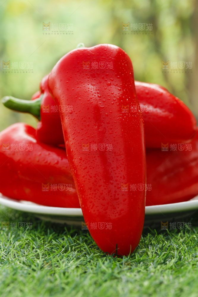 红菜椒