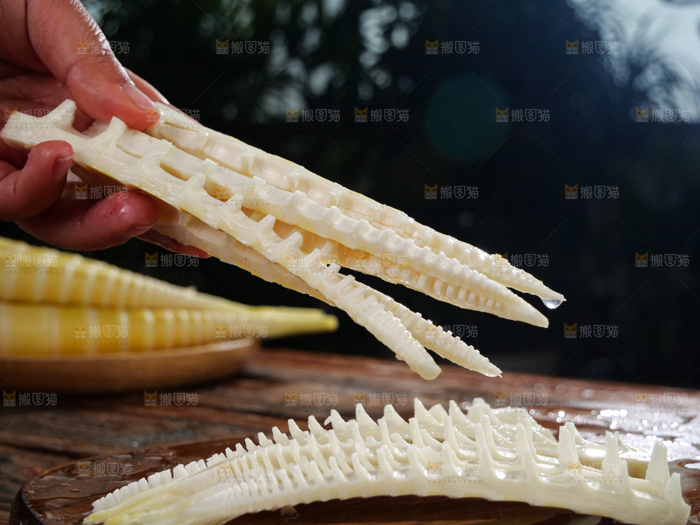 春笋