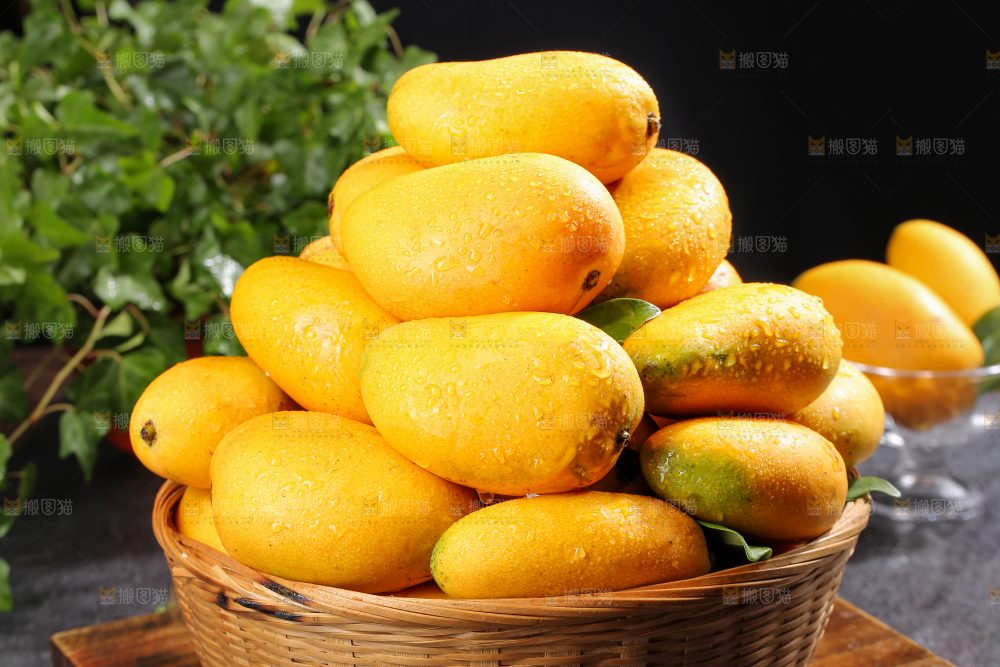 小台芒