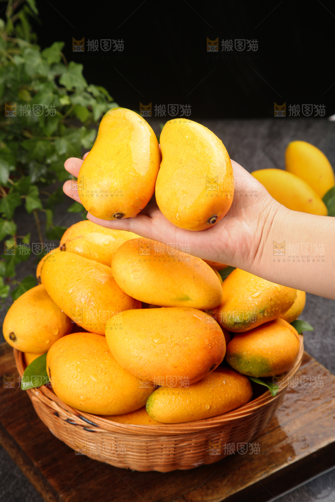 小台芒