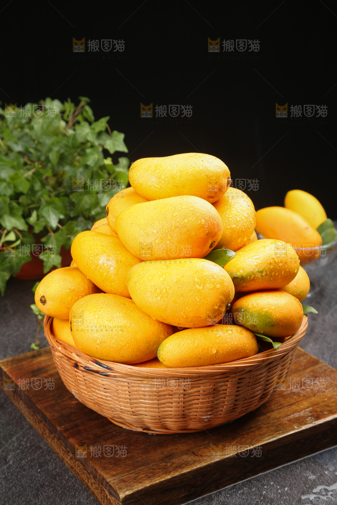 小台芒