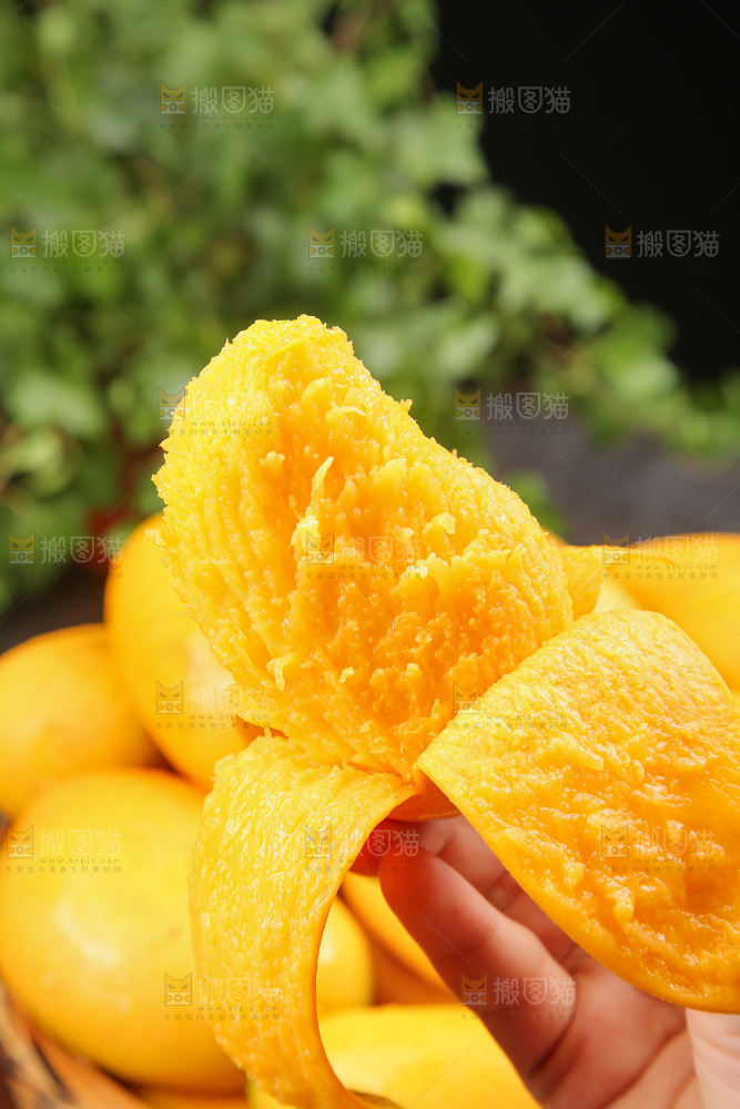 小台芒