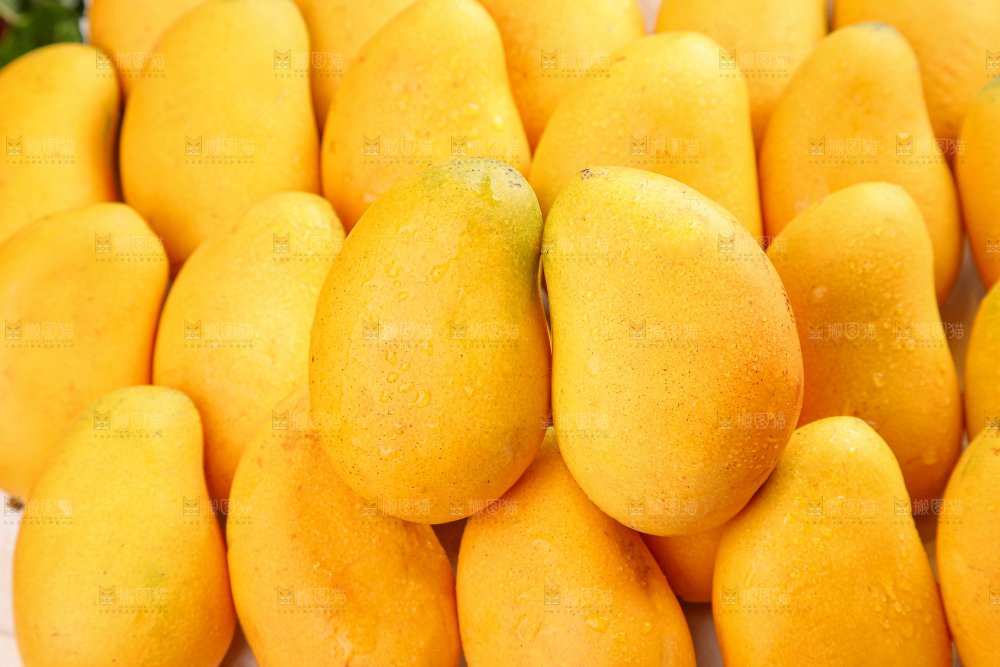 小台芒