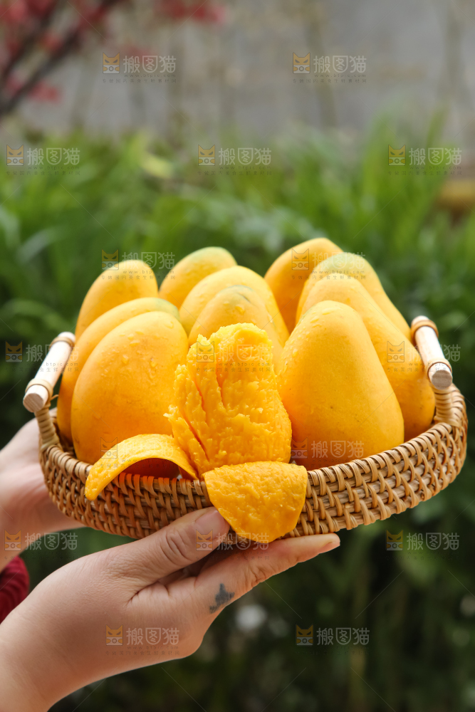 小台芒
