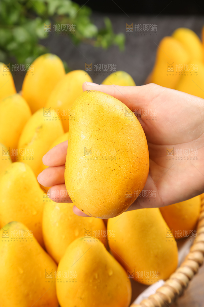 小台芒