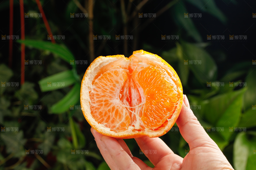 春见耙耙柑