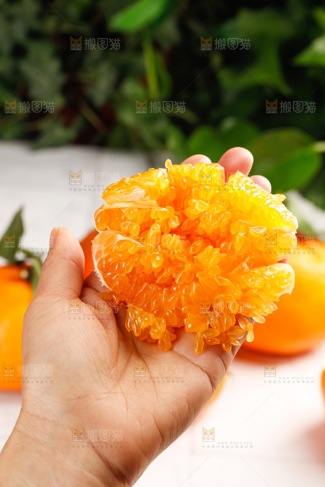 春见耙耙柑