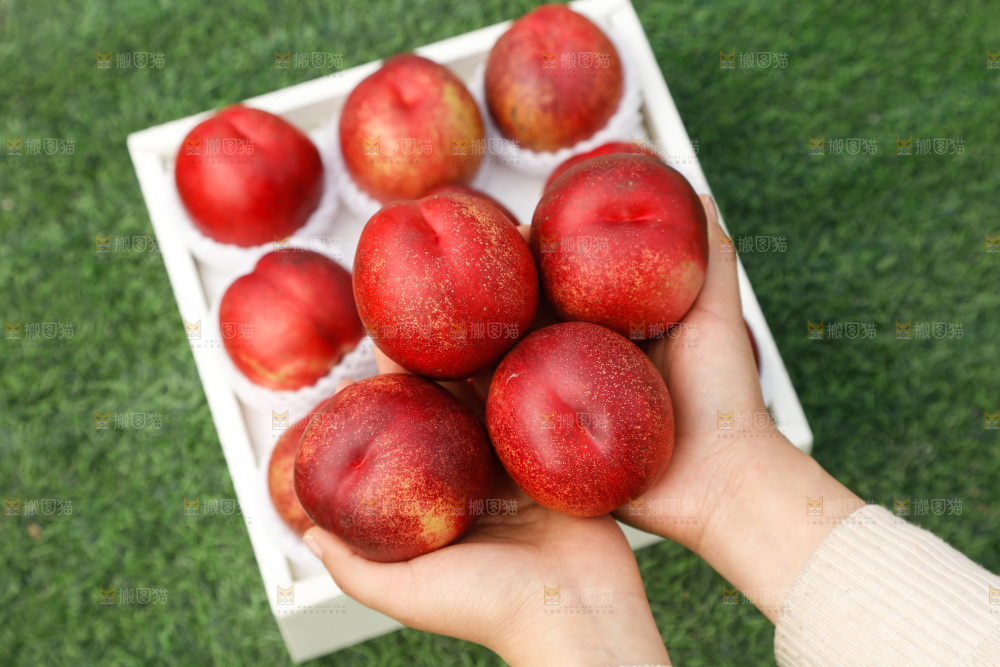 澳洲油桃