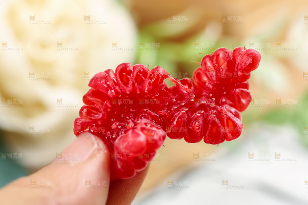 红树莓